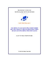 Tác động của đa dạng hóa nghề nghiệp đến thu nhập của hộ gia đình nông thôn huyện gò công đông tỉnh tiền giang 