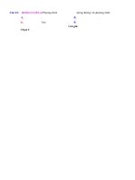 PHƯƠNG TRÌNH CHỨA TRỊ TUYỆT ĐỐI CHỨA ẨN Ở MẪU - BT - Muc do 1