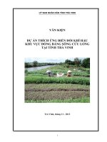 DỰ ÁN THÍCH ỨNG BIẾN ĐỔI KHÍ HẬU  KHU VỰC ĐỒNG BẰNG SÔNG CỬU LONG  TẠI TỈNH TRÀ VINH