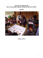 Đánh giá Tác động Xã hội Dự án Tăng cường Trợ giúp Xã hội tại Việt Nam (SASSP)