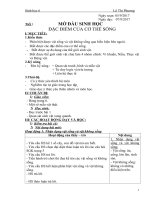 sinh hoc 6 hoạt động học; giáo án sinh 6 hoạt động học chuẩn; giáo án sinh 6 mới hoạt động học