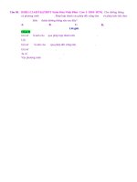 PHÉP DỜI HÌNH VÀ HAI HÌNH BẰNG NHAU - BT - Muc do 2 (2)