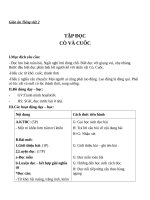 Giáo án Tiếng Việt 2 tuần 22 bài: Tập đọc  Cò và Cuốc