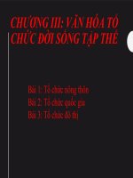 Bài giảng CƠ SỞ VĂN HÓA VIỆT NAM CHƯƠNG III đầy đủ nhất