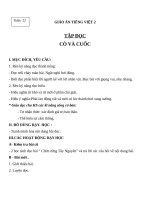 Giáo án Tiếng Việt 2 tuần 22 bài: Tập đọc  Cò và Cuốc