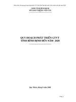 Điều chỉnh, bổ sung quy hoạch phát triển GTVT tỉnh Bình Định đến năm 2010 và tầm nhìn đến năm 2020