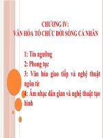 Bài giảng CƠ SỞ VĂN HÓA VIỆT NAM CHƯƠNG IV