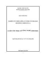 Nghiên cứu nhân giống in vitro cây hoa ban (bauhinia variegata) 