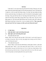 Bài tập học kỳ môn Luật Cạnh tranh và bảo vệ quyền lợi người tiêu dùng