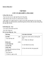 Giáo án Tiếng Việt 2 tuần 31 bài: Tập đọc  Cây và hoa bên lăng Bác