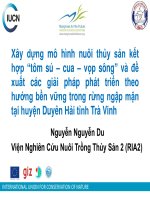 Xây dựng mô hình nuôi thủy sản kết hợp “tôm sú – cua – vọp sông” và đề xuất các giải pháp phát triển theo hướng bền vững trong rừng ngập mặn tại huyện Duyên Hải tỉnh Trà Vinh