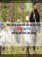 Hoạt động và cơ chế chia sẻ lợi ích từ REDD+ và PFES trên địa bàn tỉnh Lâm Đồng