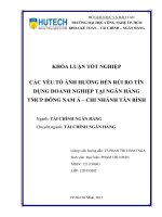 Các yếu tố ảnh hưởng đến rủi ro tín dụng doanh nghiệp tại NH TMCP đông nam á (SeABank)   chi nhánh tân bình  
