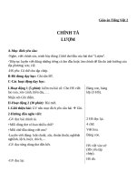 Giáo án Tiếng Việt 2 tuần 33 bài: Chính tả  Nghe  viết  Lượm, phân biệt SX, IIÊ