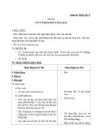 Giáo án Tiếng Việt 2 tuần 31 bài: Tập đọc  Cây và hoa bên lăng Bác