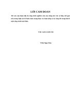 Xây dựng và sử dụng bài toán nhận thức nhằm phát triển năng lực phát hiện và giải quyết vấn đề, năng lực sáng tạo của học sinh trong dạy học hóa học hữu cơ lớp 11 nâng cao 