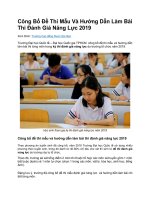 Công bố đề thi mẫu và hướng dẫn làm bài thi đánh giá năng lực 2019