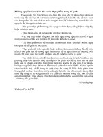 Nguyên tắc cơ bản bảo quản thực phẩm trong tủ lạnh