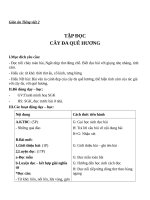 Giáo án Tiếng Việt 2 tuần 29 bài: Tập đọc  Cây đa quê hương