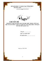 CHỈNH SỬA MỘT SỐ DẠNG BÀI TẬP ĐỌC HIỂU TRONG TIẾT DẠY ĐỌC Ở SÁCH TIẾNG ANH 10 VÀ RÈN KỸ NĂNG ĐỌC HIỂU VỚI DẠNG ĐỀ THI THPT QUỐC GIA