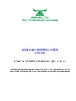 BÁO CÁO THƯỜNG NIÊN CÔNG TY CỔ PHẦN VĂN HÓA-DU LỊCH GIA LAI