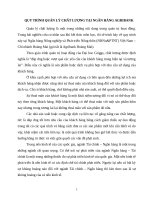 Quy trình quản lý chất lượng tại ngân hàng agribank 