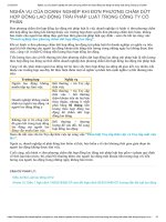 Nghĩa vụ của doanh nghiệp khi đơn phương chấm dứt hợp đồng lao động trái pháp luật trong công ty cổ phần