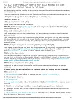 Tài sản góp vốn là phương tiện giao thông cơ giới đường bộ trong công ty cổ phần