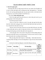 Chủ đề: HÌNH CHIẾU PHỐI CẢNH