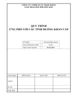 NTS-QT-BSCI-06-02-QUY TRINH UNG PHO KHAN CAP