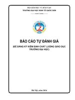 BÁO CÁO TỰ ĐÁNH GIÁ (ĐỂ ĐĂNG KÝ KIỂM ĐỊNH CHẤT LƯỢNG GIÁO DỤC TRƯỜNG ĐẠI HỌC)