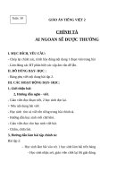 Giáo án Tiếng Việt 2 tuần 30 bài: Chính tả (Nghe  viết)  Ai ngoan sẽ được thưởng, phân biệt TRCH, ÊTÊCH
