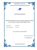 Thương mại quốc tế và đầu tư trực tiếp nước ngoài tại các quốc gia đang phát triển châu á 