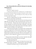 Xã hội học đại cương