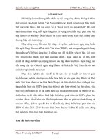 Tiểu luận phân tích thực trạng chiến lược phát triển tại ngân hàng đầu tư và phát triển việt nam BIDV 