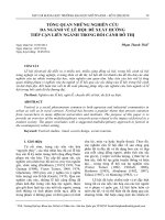 Tổng quan những nghiên cứu đa ngành về lễ hội  đề xuất hướng tiếp cận liên ngành trong bối cảnh đô thị 