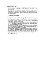 Chia thừa kế như thế nào