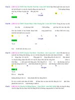 D02   bài toán thực tế sử dụng diện tích hình phẳng   muc do 2 
