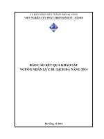 BÁO CÁO KẾT QUẢ KHẢO SÁT  NGUỒN NHÂN LỰC DU LỊCH ĐÀ NẴNG 2014