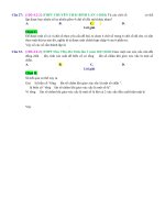 D02   các câu hỏi lý thuyết tổng hợp   muc do 2 