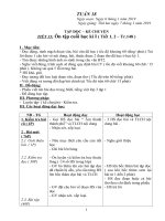 TUẦN 18 LOP 3 2019 CKTKN