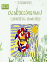 CÁC NƯỚC ĐÔNG NAM Á (Cuối thế kỉ XIX – đầu thế kỉ XX) lịch sử 11 nâng cao