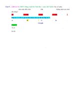 D01   thực hiện phép tính cộng, trừ, nhân số phức   muc do 3 