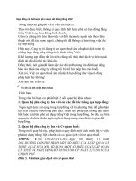 Hợp đồng có bắt buộc phải soạn viết bằng tiếng việt