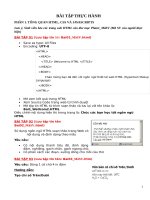 BÀI TẬP THỰC HÀNH : TỔNG QUAN HTML, CSS VÀ JAVASCRIPTS