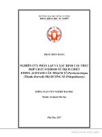 Nghiên cứu phân lập và xác định cấu trúc hợp chất steroid từ dịch chiết ethyl acetate cây thạch vĩ họ Dương xỉ