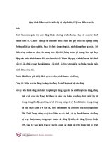 Quy trình kiểm tra tài chính cấp uỷ cấp dưới tại uỷ ban kiểm tra cấp tỉnh  