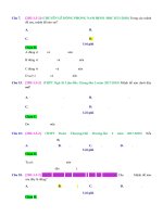 D03   so sánh các lũy thừa   muc do 2 