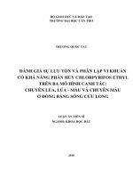 Đánh giá sự lưu tồn và phân lập vi khuẩn có khả năng phân hủy chlorpyrifos ethyl trên ba mô hình canh tác chuyên lúa, lúa màu và chuyên màu ở đồng bằng sông cửu long