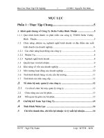 BÁO CÁO THỰC TẬP TỐT NGHIỆP KẾ TOÁN CÔNG TY BẤT ĐỘNG SẢN VÀ NỘI THẤT.DOC